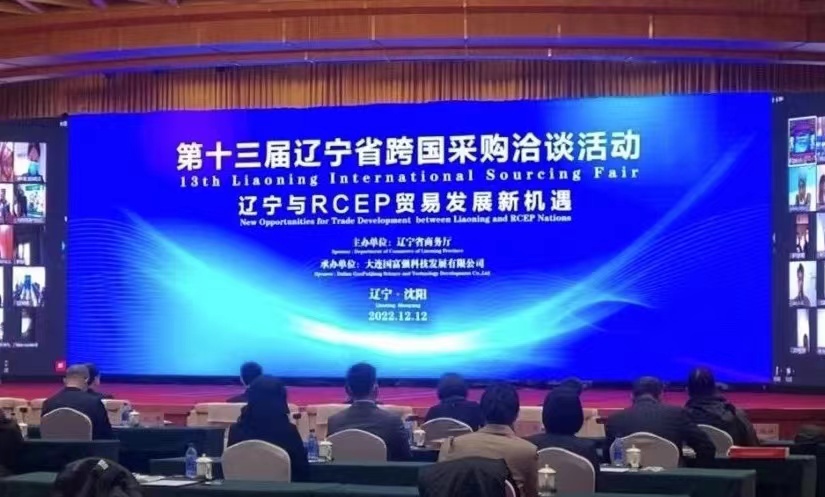 2024年我国人口结构_2024年中国人口形势分析报告(2)