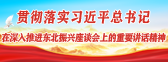 贯彻落实习近平总书记在深入推进东北振兴座谈会上的重要讲话精神