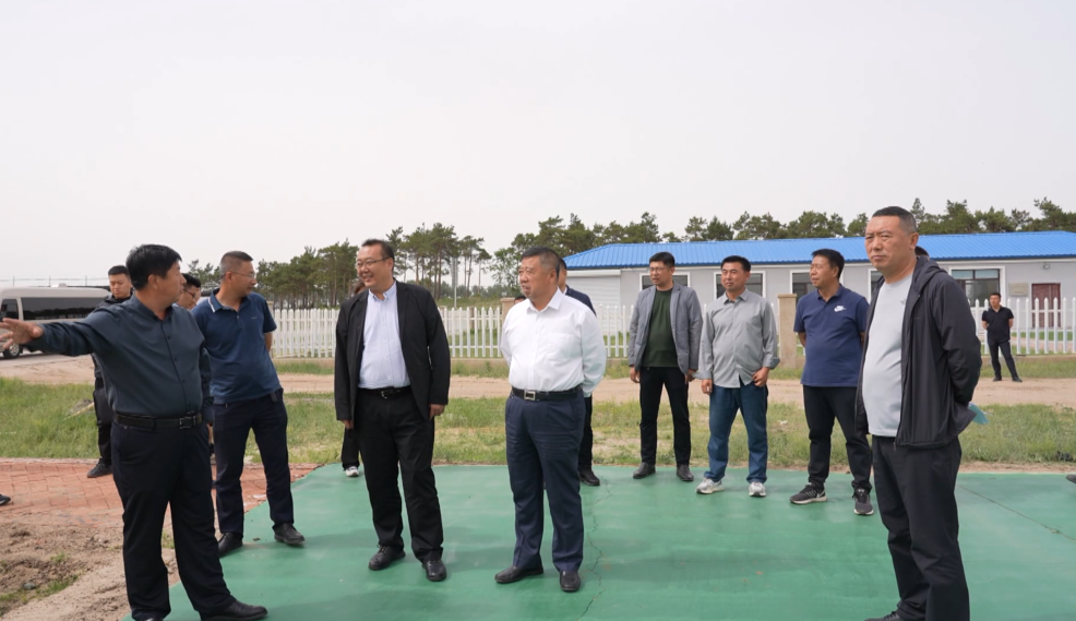 彰武县委书记刘江义,县长杨家佳实地调研"六五"世界环境日阜新市主